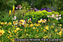 Gardens at the Cotswold Wildlife Park