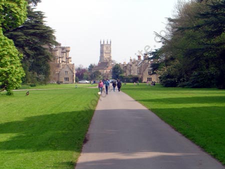 A view of Cirencester Park with Cirencester parish church in the background