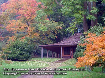 Batsford Arboretum photo