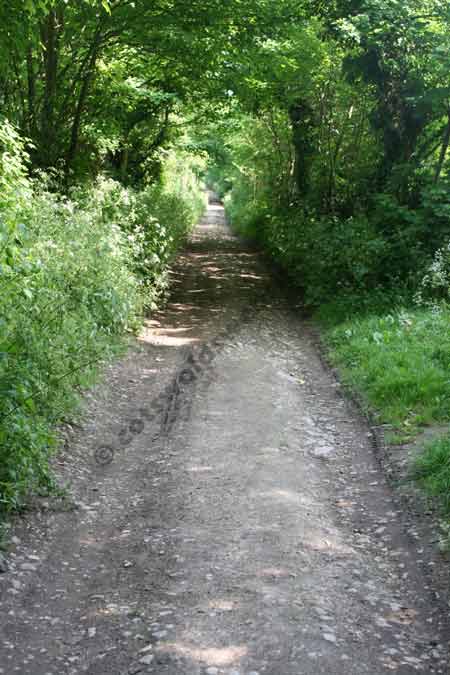 Access to North Leigh Roman Villa is down an unsurfaced track approximately 600 metres from the road