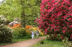 Westonbirt Arboretum